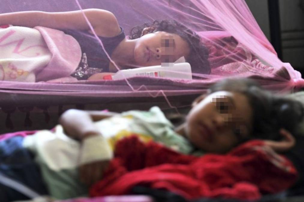 El Aedes aegypti mantiene postrada a esta niña en el hospital de La Paz, Honduras. 'Estamos colapsados, tuvimos que habilitar hasta la capilla, los pasillos y suspender las intervenciones quirúrgicas selectivas' por la emergencia, dice a la AFP el portavoz del hospital, Marco Antonio Rodas.