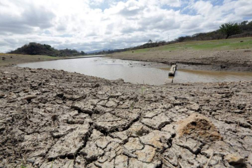 La situación de sequía en Honduras y la fuerte ola de calor está afectando a los ciudadanos hondureños, principalmente en la zona central del país.
