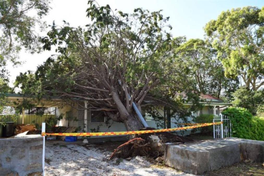 Asimismo en las Montañas Azules, a unos cien kilómetros al oeste de Sídney, dos personas fueron hospitalizadas tras ser alcanzadas por rayos, aunque éstas se encuentran en condición estable.<br/>