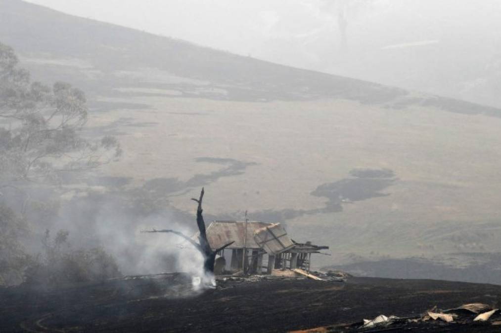 En el estado de Nueva Gales del Sur, el más afectado por los incendios, los bomberos confirmaron la destrucción de unas 60 casas aunque prevén que la cifra sea de varios centenares en esta jurisdicción, donde se han registrado 19 de los muertos y una persona está desaparecida.