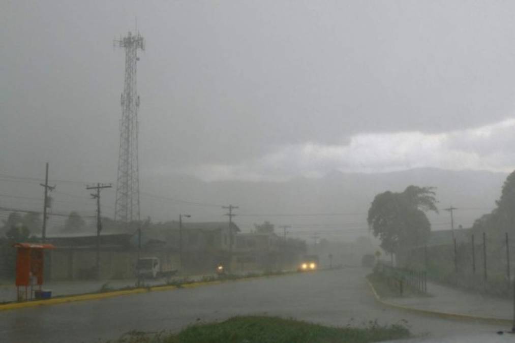 La tormenta con vientos huracanados ue duró cerca de media hora dejó árboles caídos y calles inundadas en el centro de San Pedro Sula.