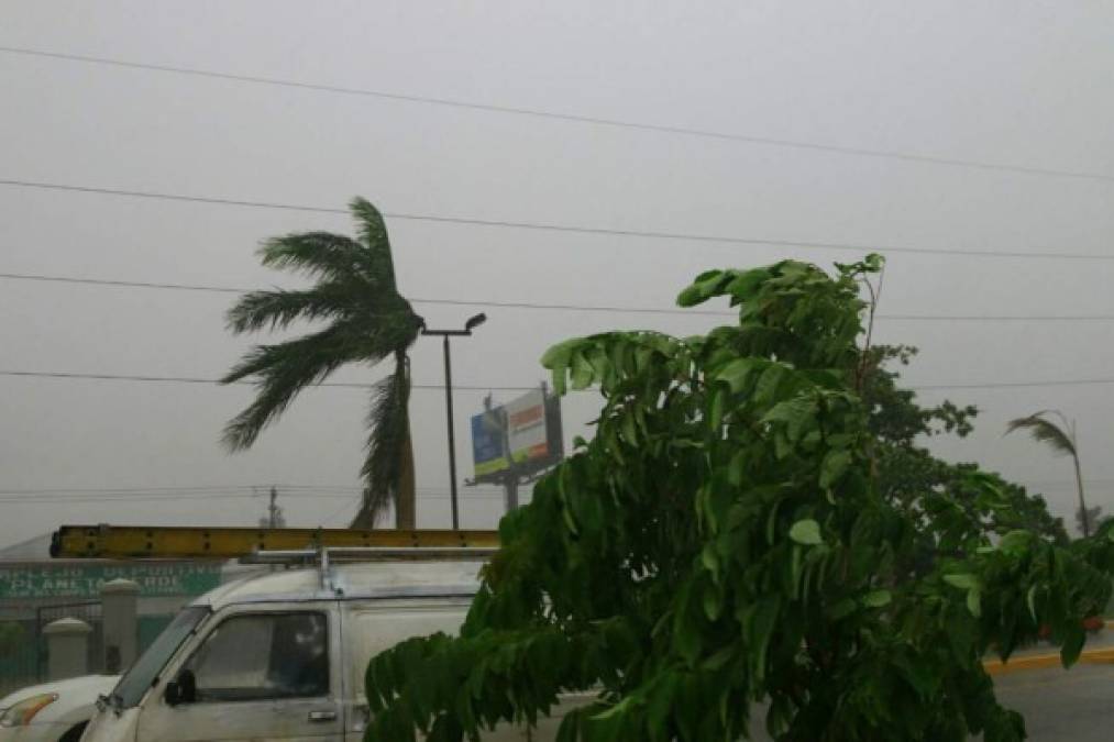 Los vientos huracanados sorprendieron a los sampedranos que al mediodía circulaban por las calles bajo la lluvia.