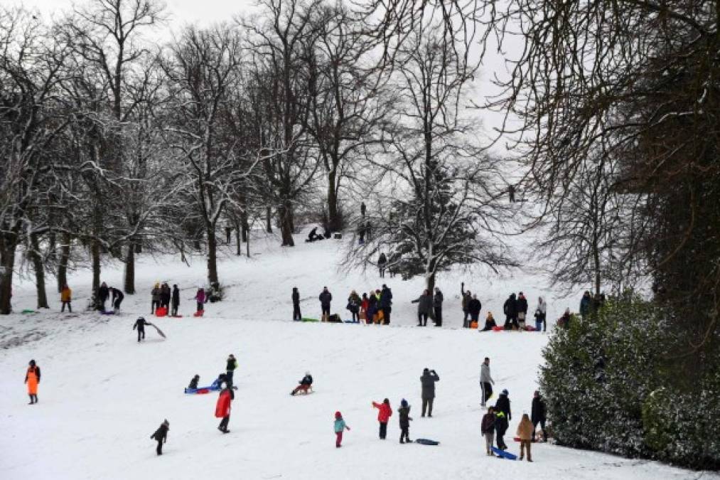 Los habitantes de las ciudades holandesas y alemanas salieron a la calle con sus trineos y a jugar con la nieve pese a temperaturas de -5 °C.