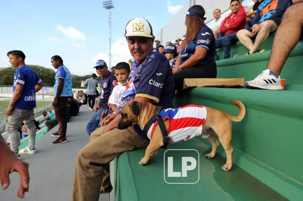 Hasta un perrito llegó al estadio Carlos Miranda de Comayagua praa disfrutar del partido.