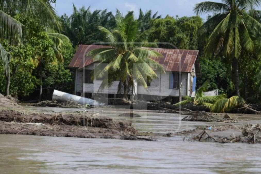 Excampos de El Progreso siguen inundados y habitantes sufren en silencio en los bordos