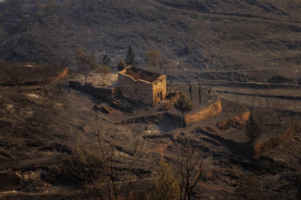 n España, en uno de los peores años de sequía e incendios, según datos del Ministerio para la Transición Ecológica y Reto Demográfico, hasta julio pasado el fuego calcinó más de 220.000 hectáreas, una cifra que se va a incrementar con los consiguientes perjuicios a la biodiversidad.