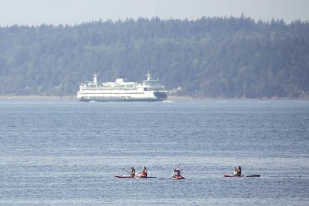 'Vancouver nunca ha experimentado calor como este y, desgraciadamente, docenas de personas están muriendo por esta causa', señaló en un comunicado el portavoz de la Policía de Vancouver, el sargento Steve Addison.