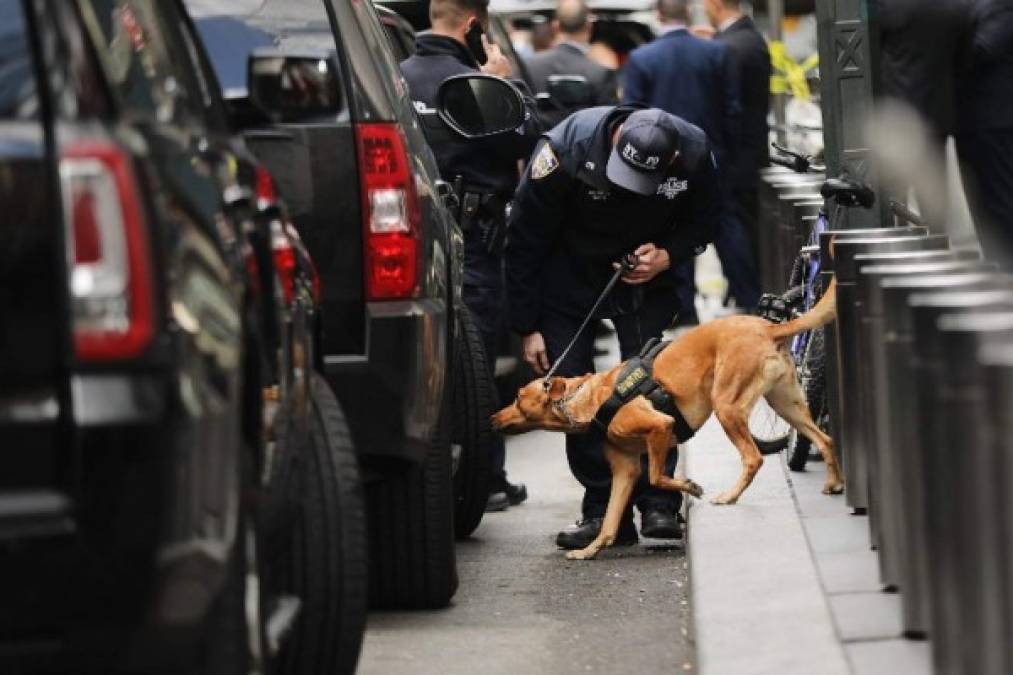 NEW YORK, NY - OCTOBER 24: A Police bomb sniffing dog is deployed outside of the Time Warner Center after an explosive device was found this morning on October 24, 2018 in New York City. CNN's office at the center was evacuated after a package arrived that was similar to suspicious packages found near the homes of Bill and Hillary Clinton, the Obamas and billionaire philanthropist George Soros. Spencer Platt/Getty Images/AFP