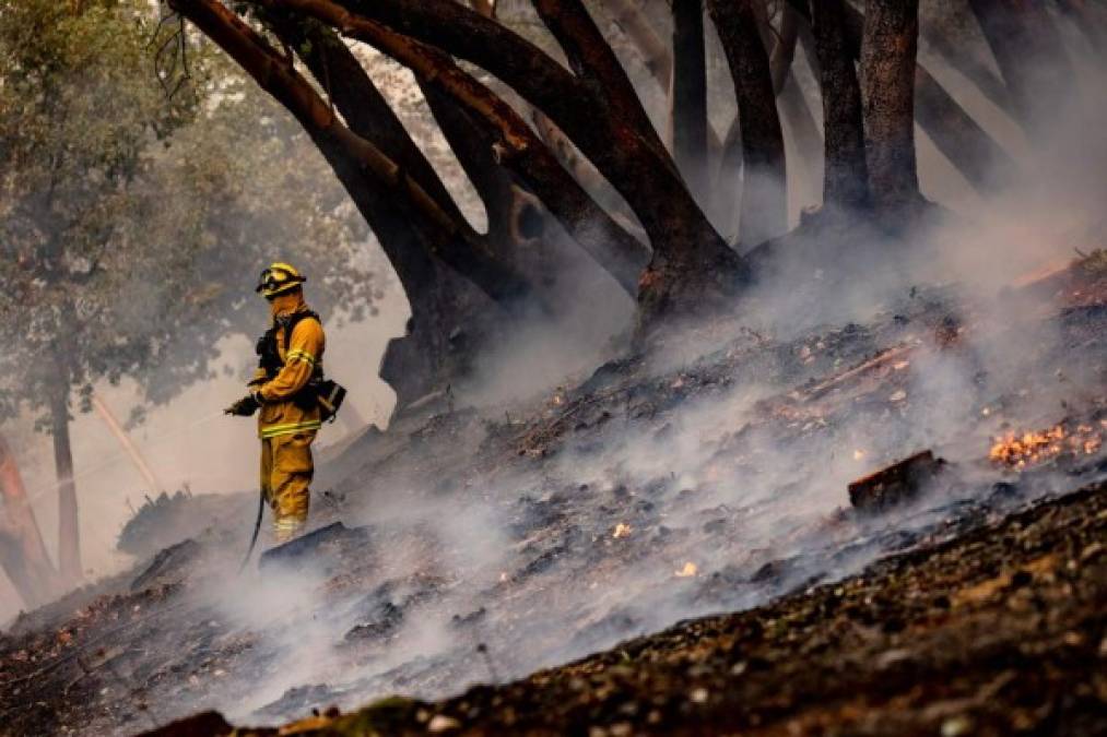 Fire Fighters with Hilton Cal Fire set a protection burn at the edge of a home and vineyard to protect it from the advance of the Glass Fire which started in the early morning hours in Napa Valley, California on September 27, 2020. - The Glass fire grew to 2,500 Acres on the evening of September 27. A heat wave and dry winds create critical weather conditions and mandatory evacuations are in order. (Photo by Samuel CORUM / AFP)