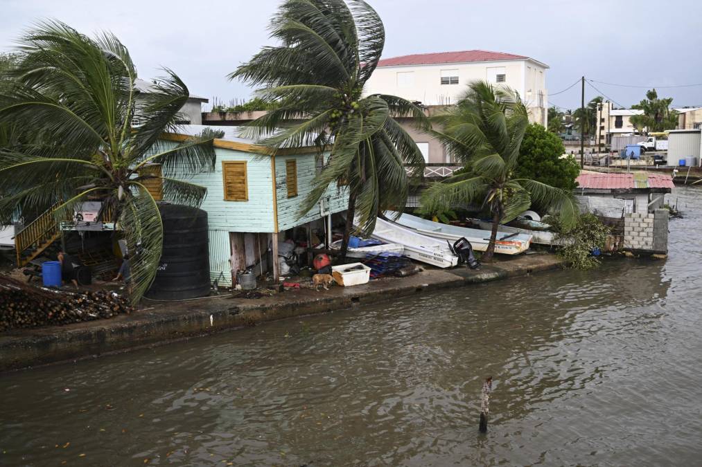 Palm trees move due to strong winds before the arrival of Hurricane Lisa in Belize City on November 2, 2022. - The northern part of Central America was on high alert Wednesday for the passage of Hurricane Lisa, with warnings of devastating winds, downpours and flash floods also affecting Mexico's Yucatan peninsula. (Photo by Johan ORDONEZ / AFP)