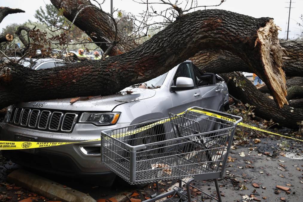Un automóvil se encuentra debajo de las ramas de un árbol después de que un árbol de más de varios cientos de años se estrelló durante una tormenta la noche anterior en un centro comercial en Los Ángeles, California.