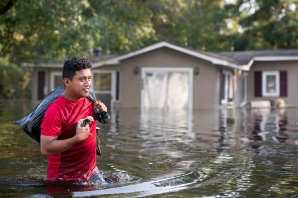 Las autoridades han advertido sobre las contaminaciones ambientales y sanitarias en las áreas inundadas, donde se han formado lagunas de agua y estiércol proveniente de granjas.