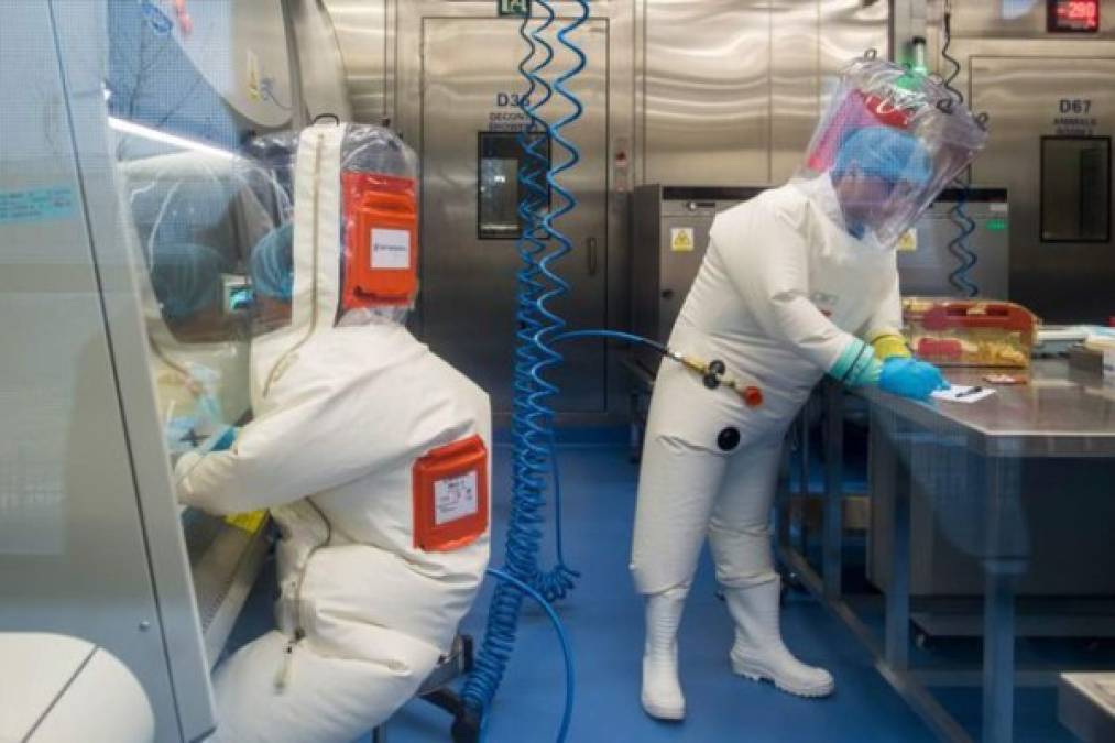 Pandemia coronavirus: Así es el laboratorio de Wuhan que experimenta con murciélagos