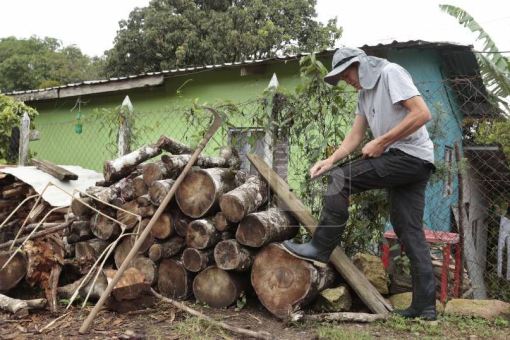 Un día con Francisco Martínez en su aldea: El trabajo en las piñeras, su familia y el regalo que recibió por un crítico