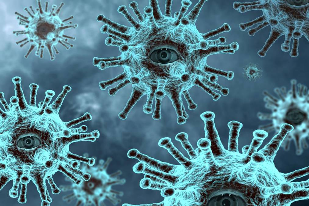 Nueva amenaza: ¿qué es el virus Nipah y cómo se transmite a los humanos?