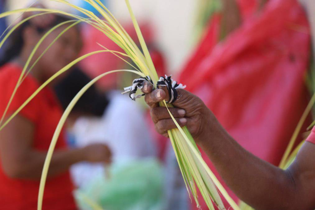 Hondureños compran palmas para el Domingo de Ramos