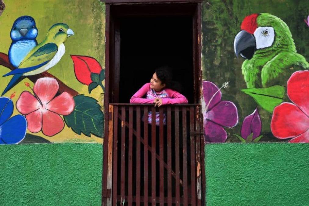 Estos singulares murales han sido elaborados por artistas hondureños, argentinos, colombianos, centroamericanos y mexicanos.