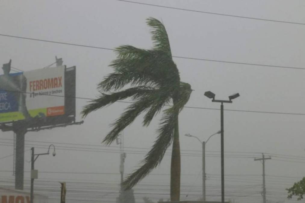 Lluvia con fuertes vientos comenzó a afectar a San Pedro Sula este mediodía provocando en pocos minutos algunas calles anegadas.