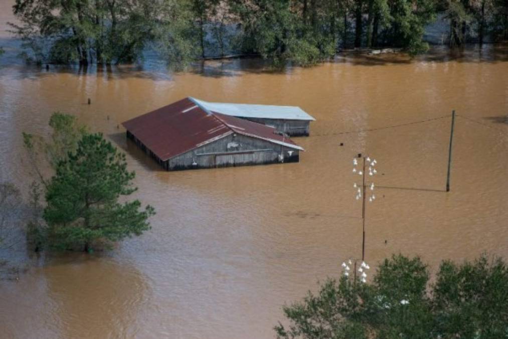 'Numerosas alertas de inundación actualmente en Carolina del Norte y el sureste de Virginia. No podemos recalcar esto suficientemente: las inundaciones repentinas pueden ocurrir en cualquier lado, no solo en las proximidades de ríos y arroyos', señaló el Servicio Meteorológico Nacional (NWS) en su cuenta de Twitter.