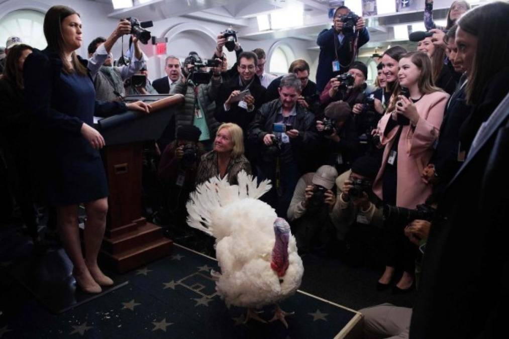 Los corresponsales de la Casa Blanca fotografiaron a una de las estrellas del Thanksgiving Day.