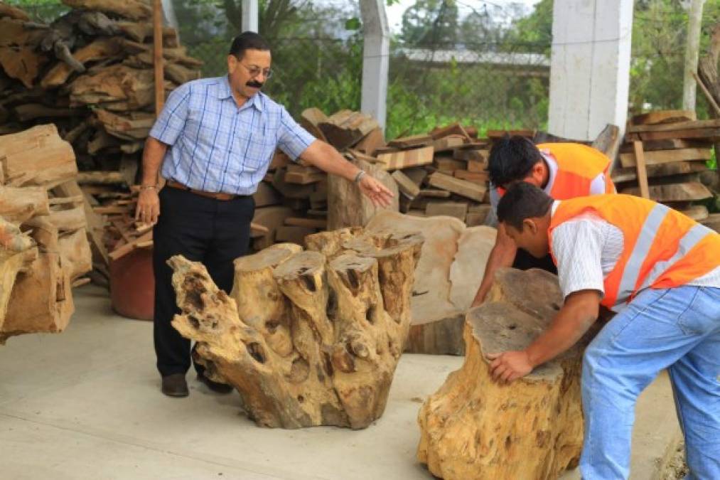 “Algunos bejucos la gente los corta para leña y cuando yo se los compro se ríen porque no saben que yo les voy a dar otra utilidad”, comenta Mauricio Rodríguez. Fotos: Melvin Cubas.