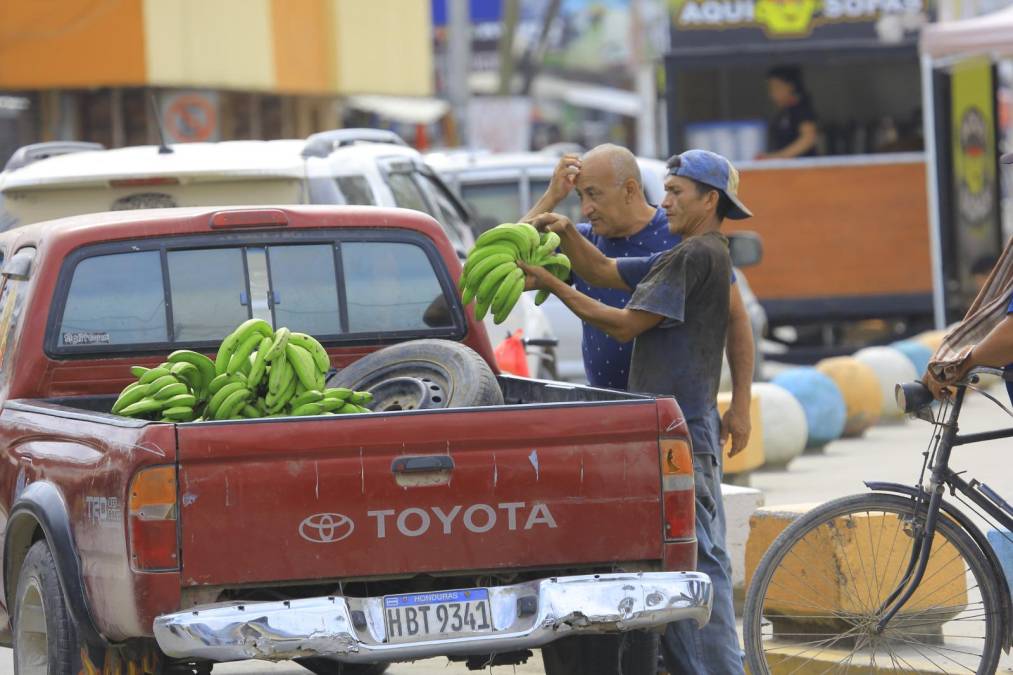 La Lima es conocida como la ciudad del “Oro Verde”, por ser en años anteriores el mayor productor de bananos.