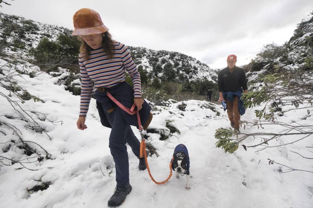 El clima de invierno está causando problemas en otras regiones del oeste de Estados Unidos. Oregon reporta nevadas que casi alcanzan niveles récord, y Wyoming cerró varias de sus carreteras.