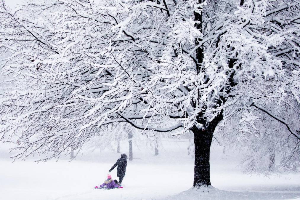 Varias personas juegan en la nieve durante una tormenta en Washington, DC, donde se espera una nevada de 8 pulgadas y temperaturas bajo cero.