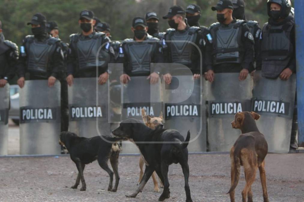 Simulacro de entrega del expresidente Juan Orlando Hernández. Fotografía: Opsa / Andro Rodríguez