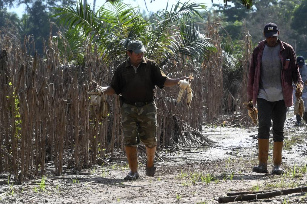 Fenómenos extremos empujan a millones de personas al límite de la pobreza en Centroamérica (FOTOS)