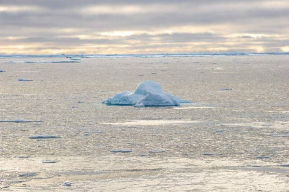 Científicos del gobierno estadounidense informaron esta semana que la capa de hielo flotante (banquisa) del Océano Ártico se ha reducido a su segundo nivel más bajo desde que comenzaron estudios satelitales al respecto, en 1979.