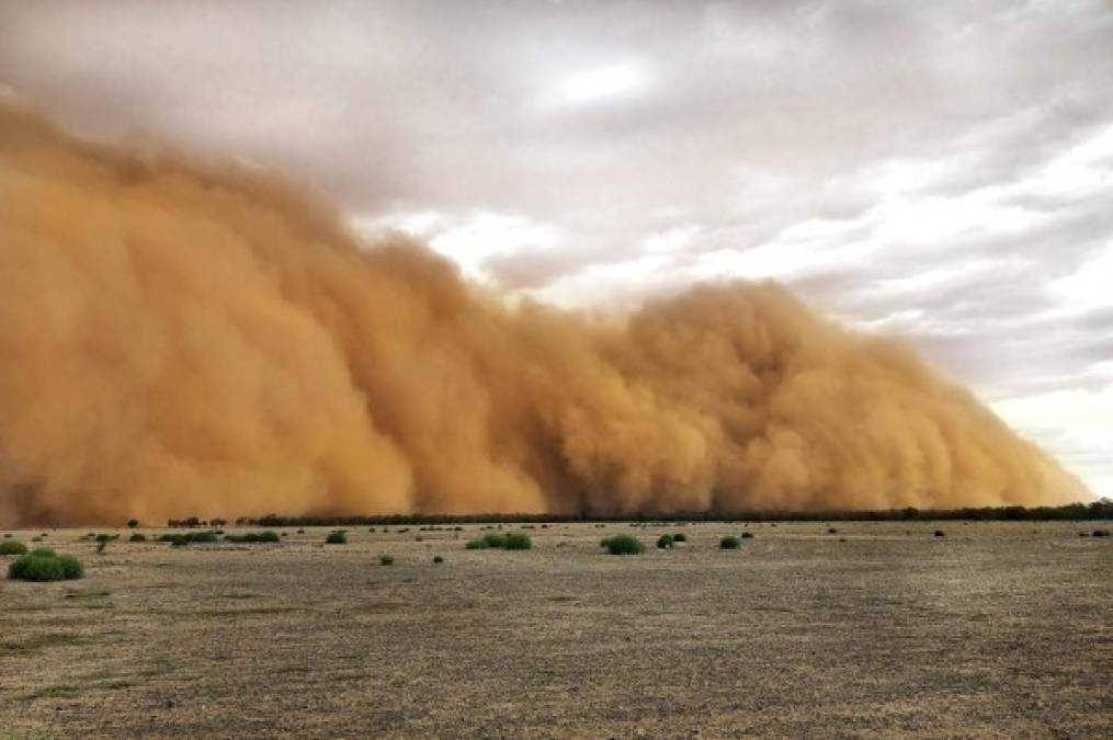 Imágenes impresionantes tomadas en el occidente de Nueva Gales del Sur muestran una gigantesca tormenta de polvo que se dirigía hacia ciudades del interior.