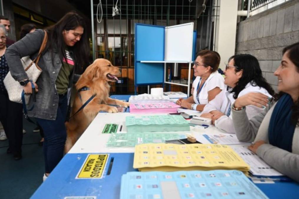 Una ciudadana llegó con su mascota para ejercer el sufragio.