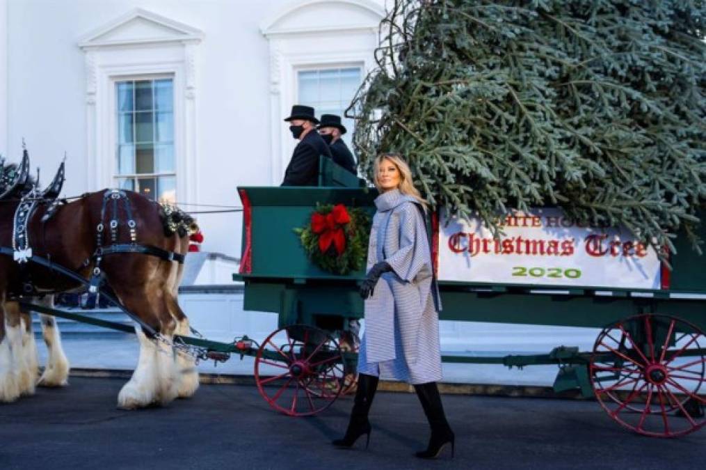 Melania Trump sorprende con nuevo look al recibir su último árbol de Navidad en la Casa Blanca