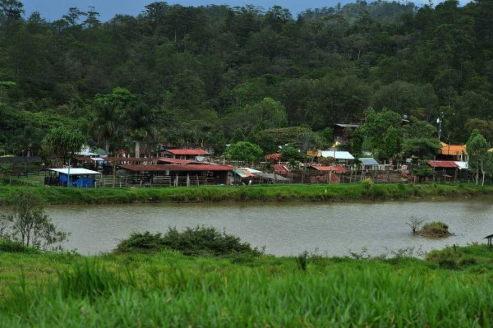El 'Arca de Noé' incautada a narcos hondureños sobrevive a la pandemia