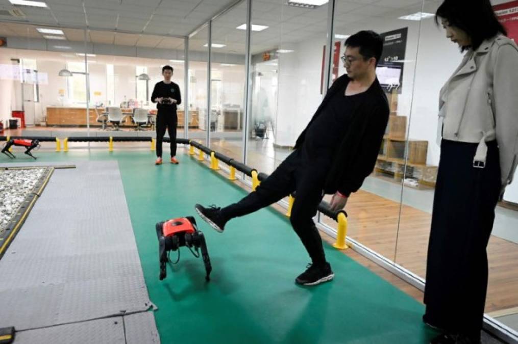 Aunque no tiene cabeza ni cola, 'es como un perro de verdad', resume Ma Jie, responsable de tecnología de la empresa Weilan, basada en Nankín, capital de la provincia du Jiangsu, al este de China, que ideó el prototipo.