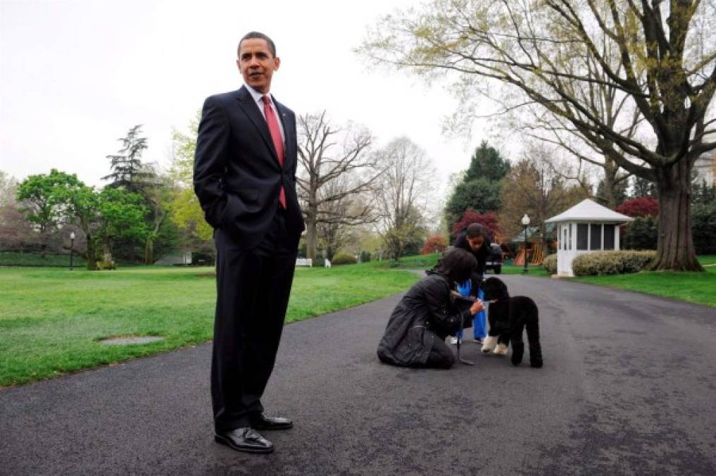 'Bo' llegó a la Casa Blanca en 2009 como un cachorro de seis meses y, enseguida, se convirtió en una fascinación para todo EE.UU.