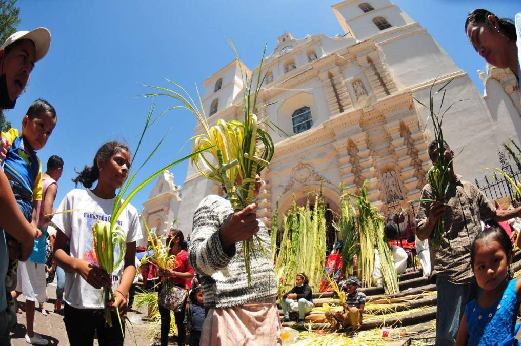 Hondureños compran palmas para el Domingo de Ramos