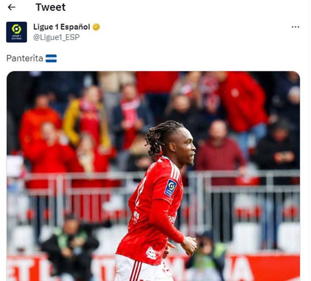 La Liga de Francia en sus redes sociales dejó su mensaje luego del gol de Alberth Elis.