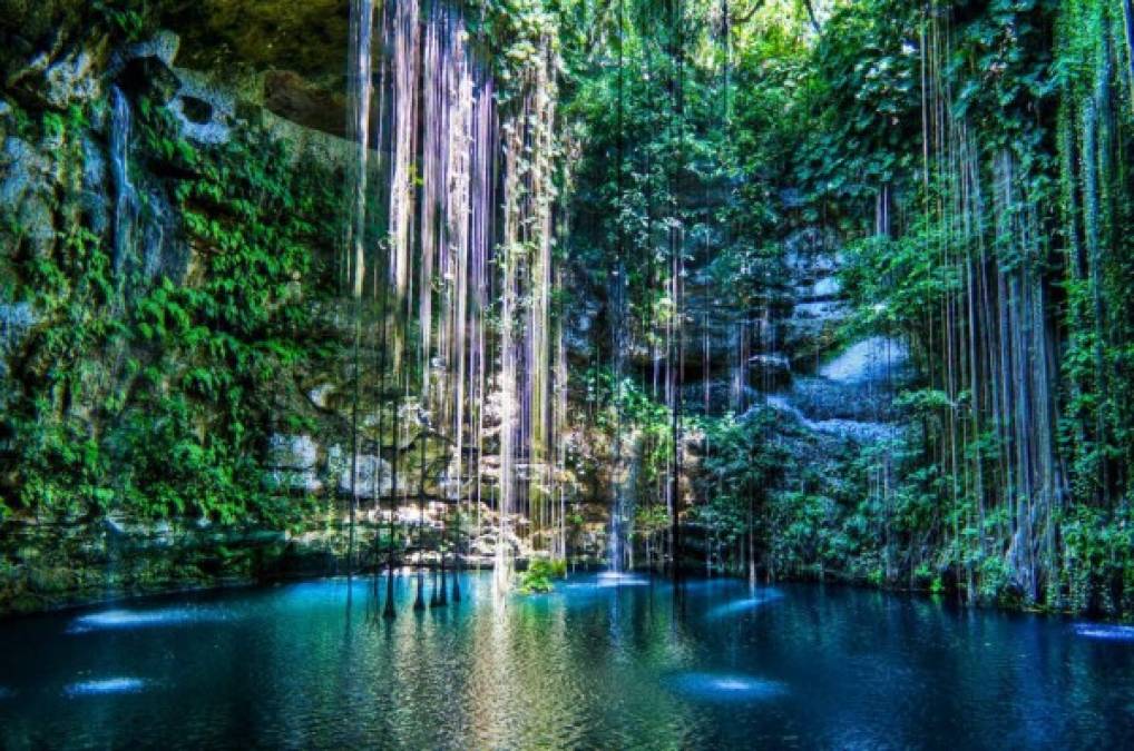 El majestuoso cenote de Ik Kil en Chichén Itzá es conocido como una de las piscinas naturales con agua azul pura. Se encuentra ubicado en el norte de la Península de Yucatán, México.