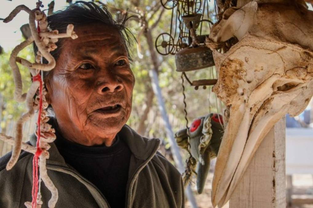 México. El Chamán en la tradición. Francisco Barret, chamán de la tribu de los Seris, en el municipio de Hermosillo Sonora. Recibió poderes a los 9 años.