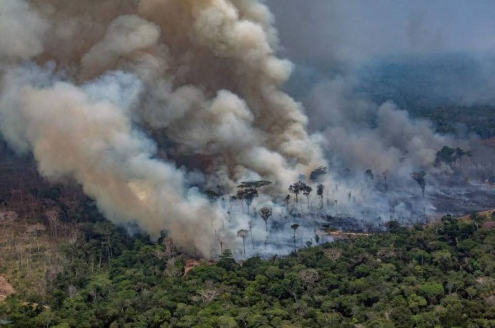 Dos aviones cisterna Hércules C-130 basados en Porto Velho comenzaron su actividad, lanzando decenas de miles de litros de agua en los puntos de incendio.