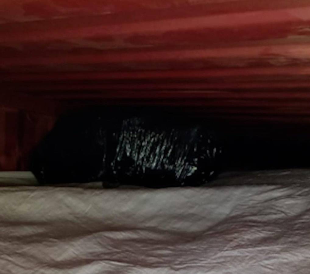 Las dos mochilas que contenían la droga estaban camufladas dentro de un contenedor | Guardia Civil