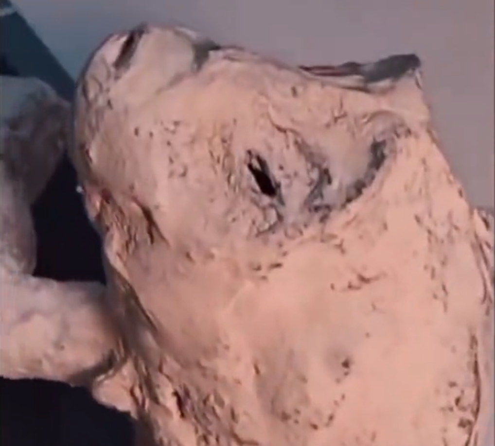 Nada respalda que los restos presentados en el Congreso sean extraterrestres; el consenso científico apunta a que las figuras, también conocidas como “momias de Nazca” fueron armadas con restos humanos, animales, y otros materiales. Además de que la UNAM ha negado haber certificado el origen alienígena de esos “seres”, que también rechazan la NASA y otras instituciones.