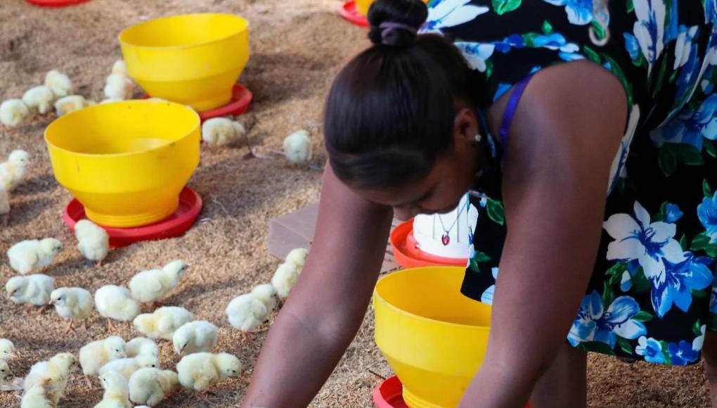 Así como en Caballo de Piedra, Humanity and Hope está llevando esperanza y desarrollo a cuatro comunidades más en el departamento de Yoro: La Coroza, Las Cuchillas y Dos Caminos en el municipio de El Progreso y Remolino en el municipio de Santa Rita.