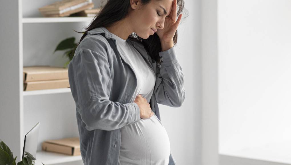 Una hormona secretada por el feto causa las náuseas del embarazo