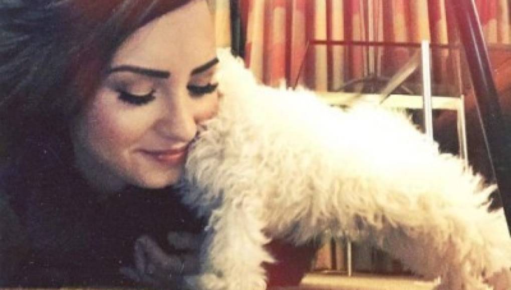 Demi Lovato tiene el corazón 'roto'