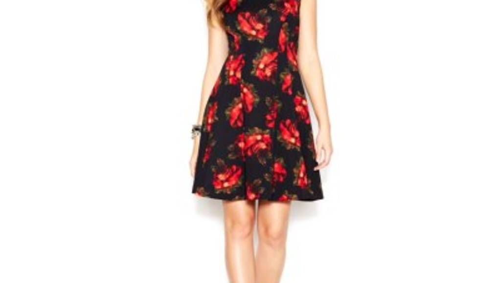 Rosas rojas, vista con la bella flor