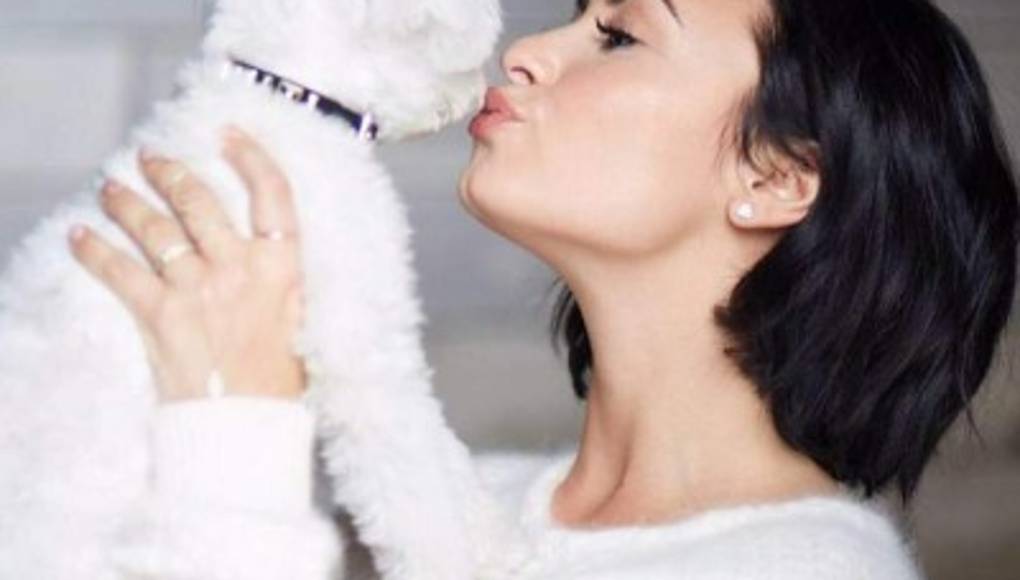 Famosos que dijeron adiós a sus mascotas en 2015