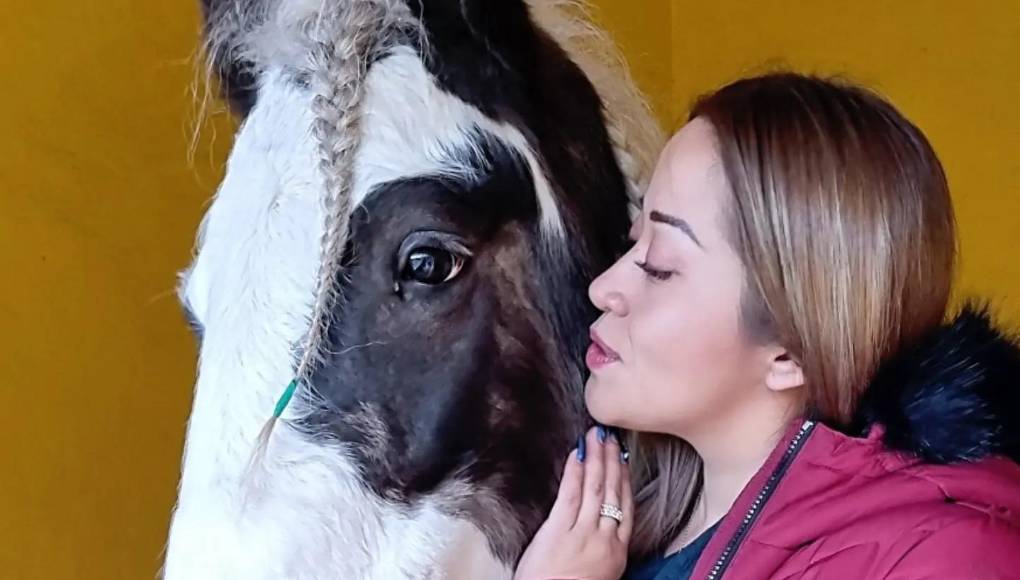 Tania Trejo estudió Contaduría en Universidad del Conde. También estuvo en la Facultad de Derecho y Ciencias Sociales de la BUAP (Benemérita Universidad Autónoma de Puebla).